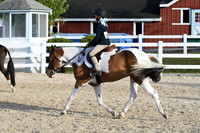 HSM_4545