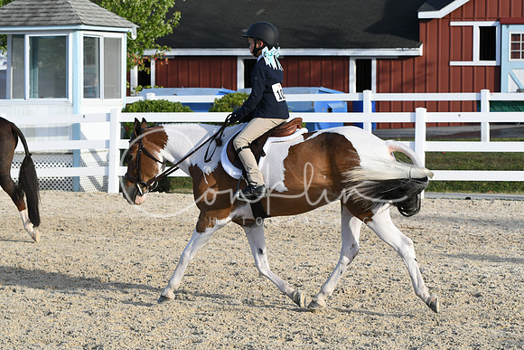HSM_4545