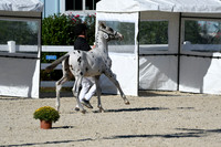 HSM_4440