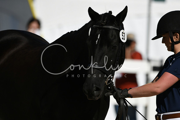 HSM_4598