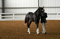 HSM_3628