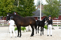 HSM_6339