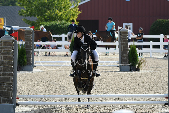 HSM_1503