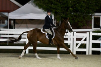 HSM_0676