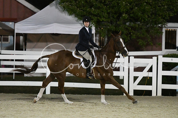 HSM_0676