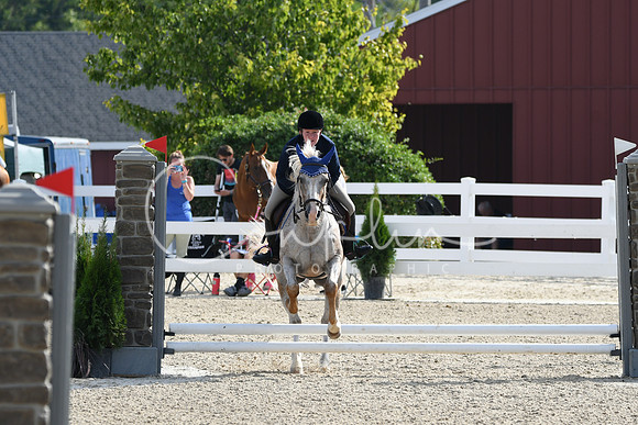 HSM_1553