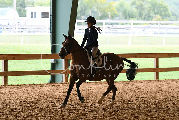 HSM_7295