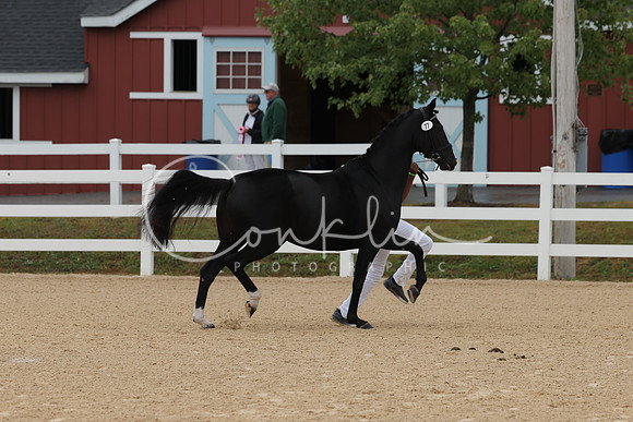 HLK_4183