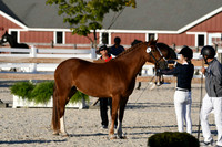HSM_5585