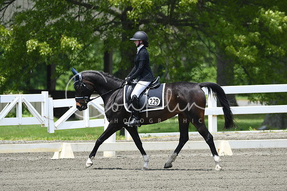 HSM_0033