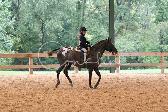 HSM_4980