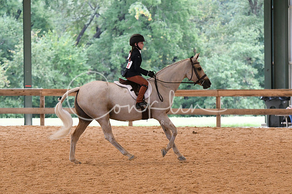 HSM_4960