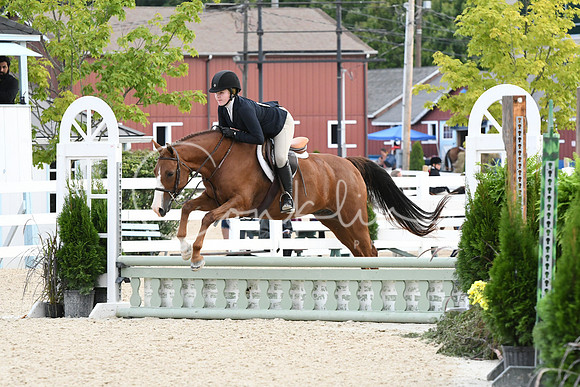 HSM_5366