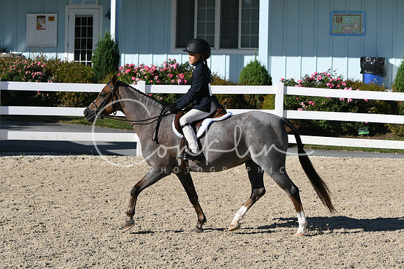 HSM_2095
