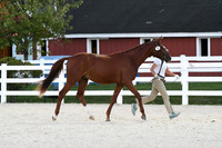 HSM_5734