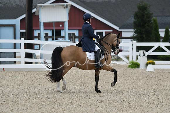 HSM_9072