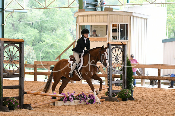 HSM_5933