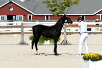 HSM_5121
