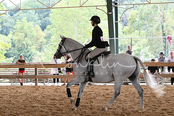 HSM_2939