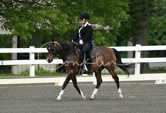HSM_2348-1