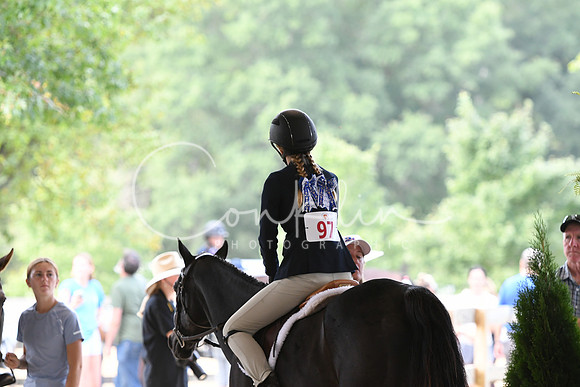 HSM_1181