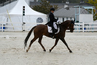 HSM_0944