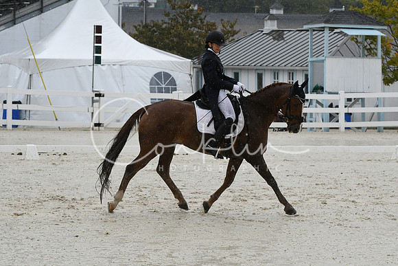 HSM_0944