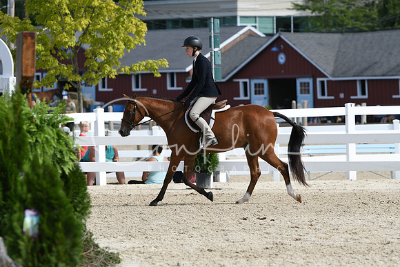 HSM_6241