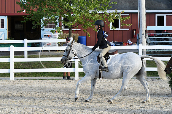 HSM_4572