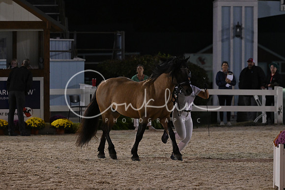MAK_6421
