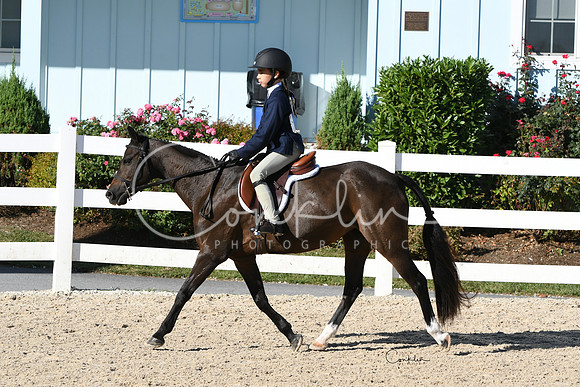 HSM_2093-1