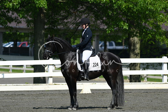 HSM_1146