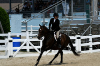HSM_8823