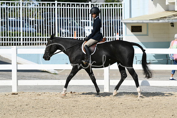 HSM_8278