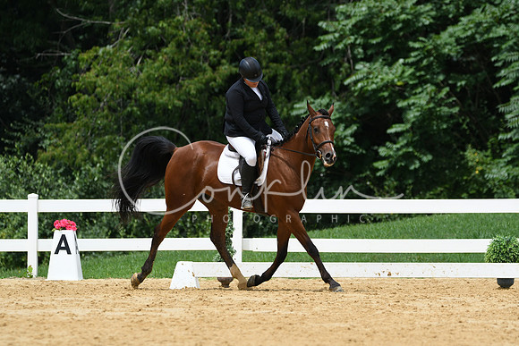 HSM_0486