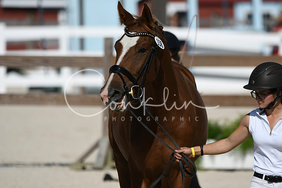 HSM_5235