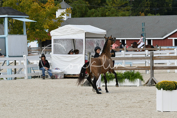 HSM_5424