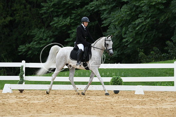 HSM_0283