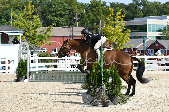 HSM_6349