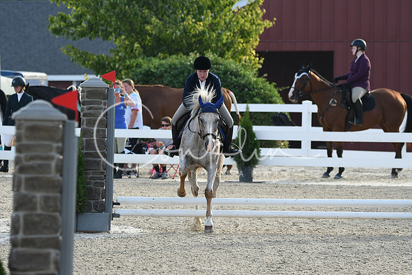 HSM_1160