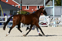 HSM_5341