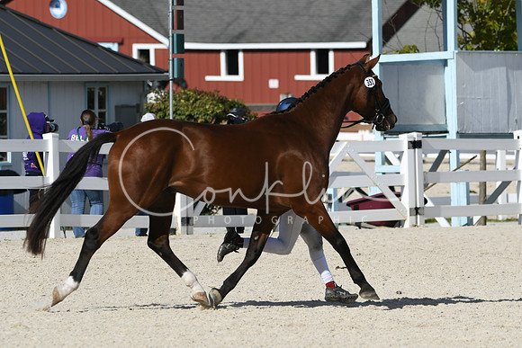 HSM_5341