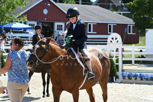 HSM_3368