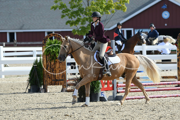HSM_1666