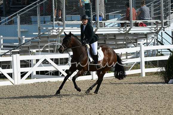 HSM_1528