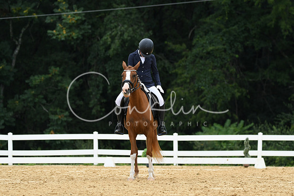 HSM_0166