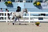 HSM_4444
