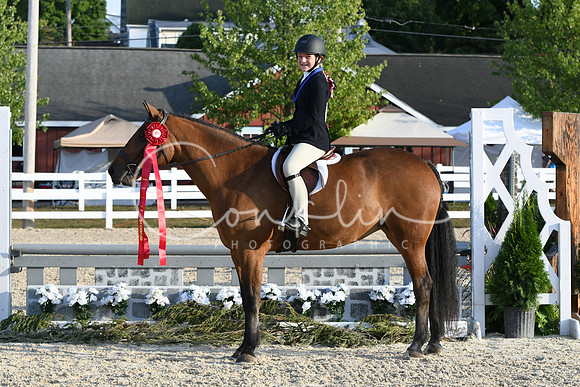 HSM_0167