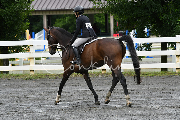 HSM_3575