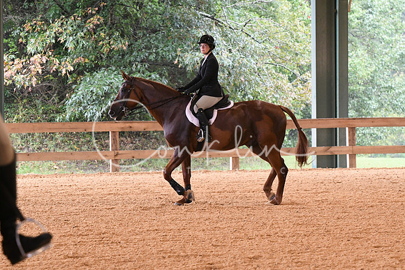 HSM_2293